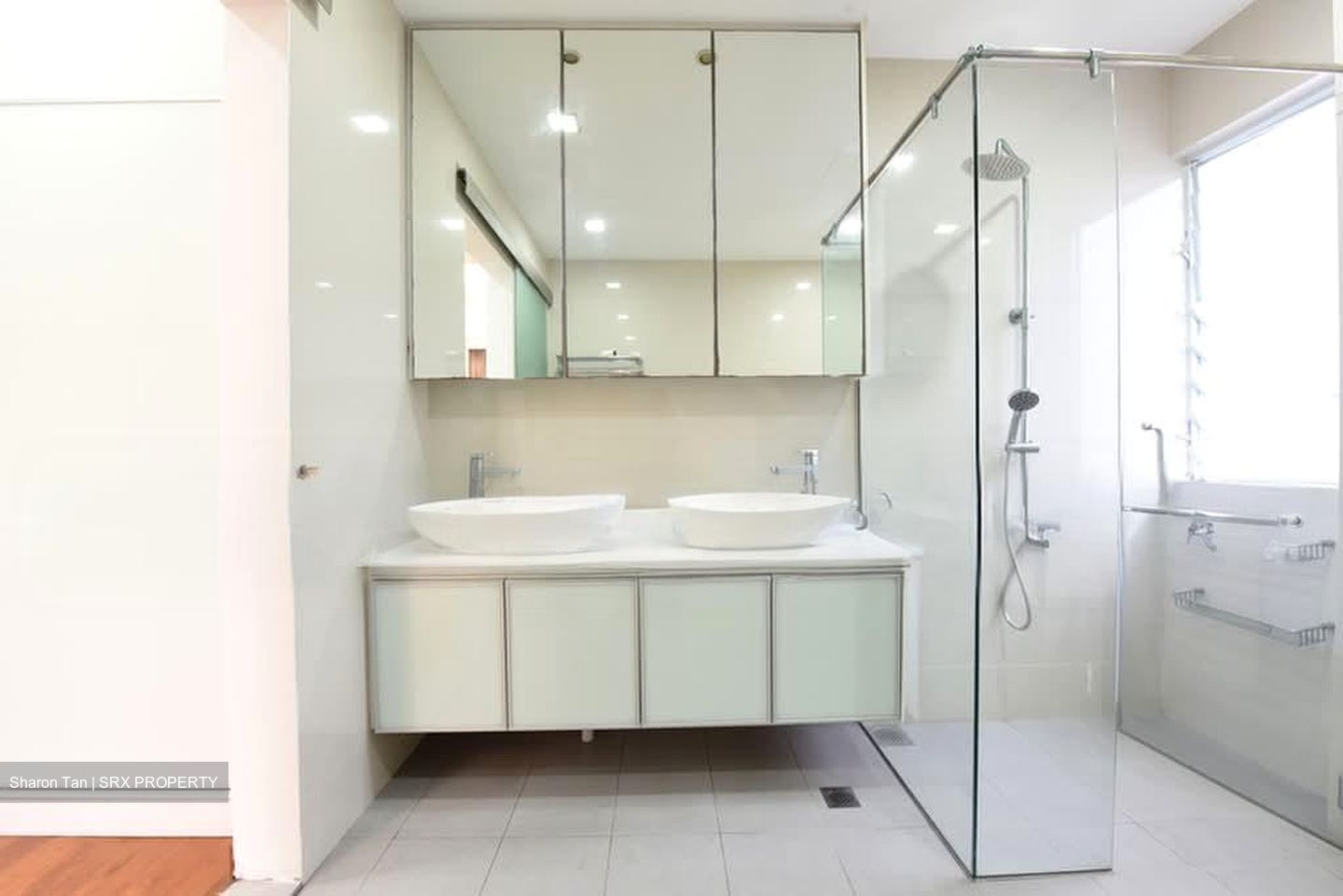 Regency Park (D10), Condominium #595044891